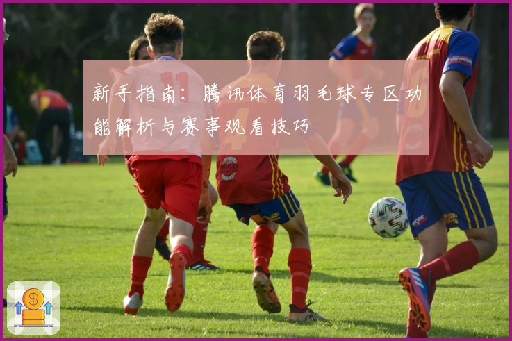 新手指南：腾讯体育羽毛球专区功能解析与赛事观看技巧