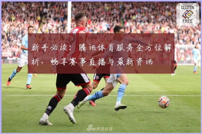 新手必读：腾讯体育服务全方位解析，畅享赛事直播与最新资讯